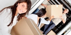 Business Removals Kwikfynd My Local Removalists